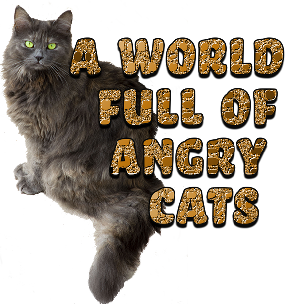 angry cats